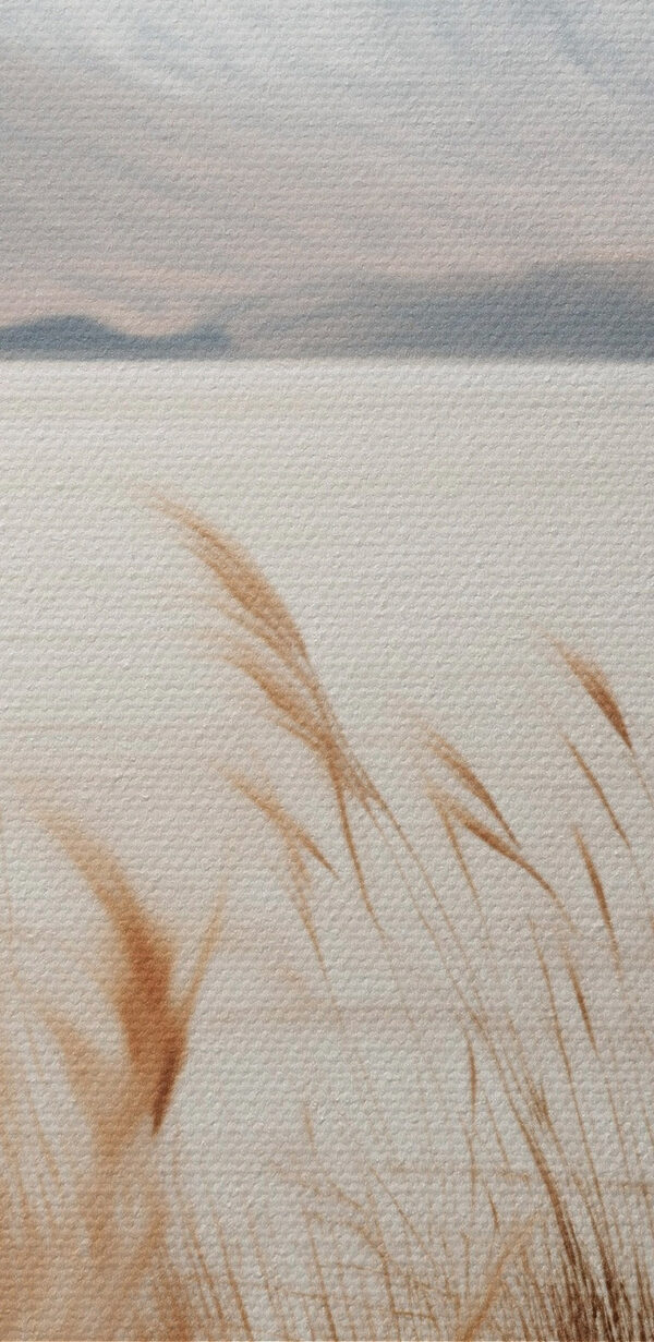 Gentle waves meet golden grasses