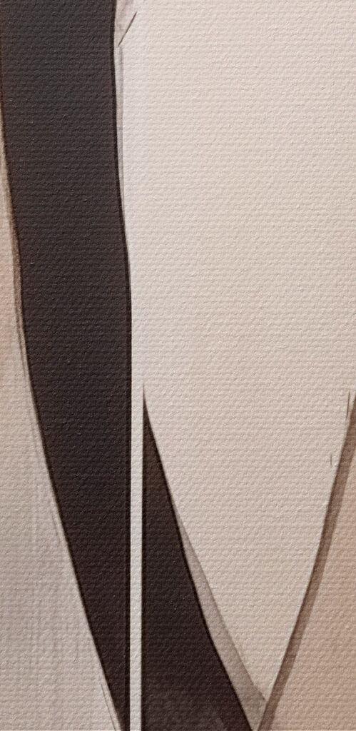 Dynamic curves in soft tones