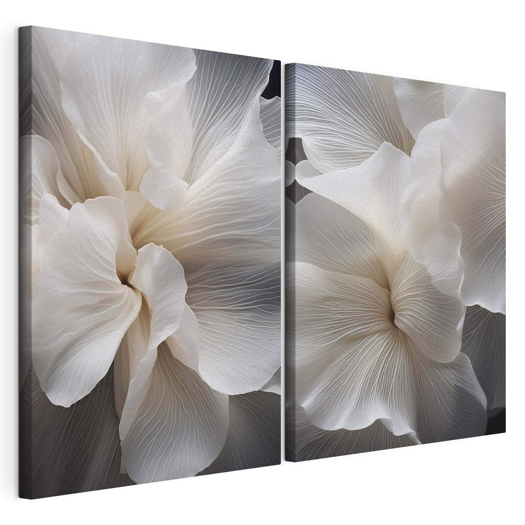 Soft petals in delicate harmony
