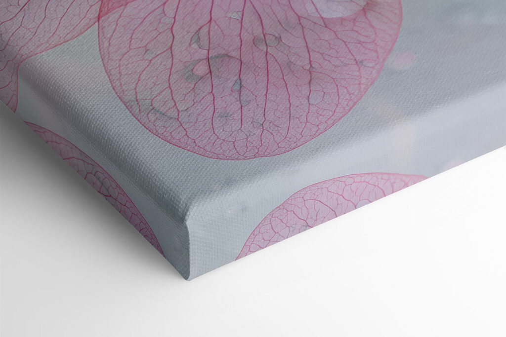 Delicate petals with refreshing droplets