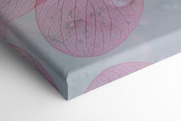 Delicate petals with refreshing droplets