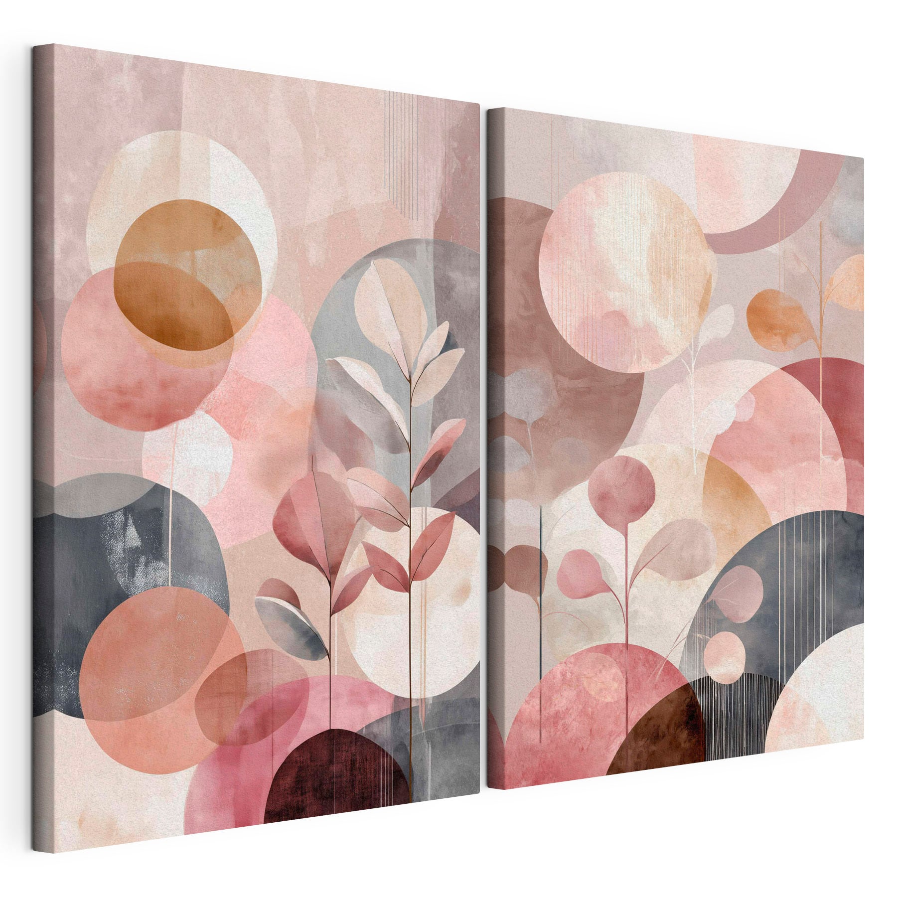 Two images of a plant and a plant