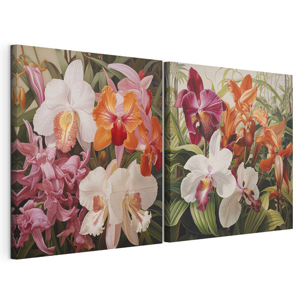 Colorful orchids in vibrant display