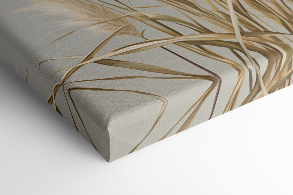 Elegant grasses for serene spaces