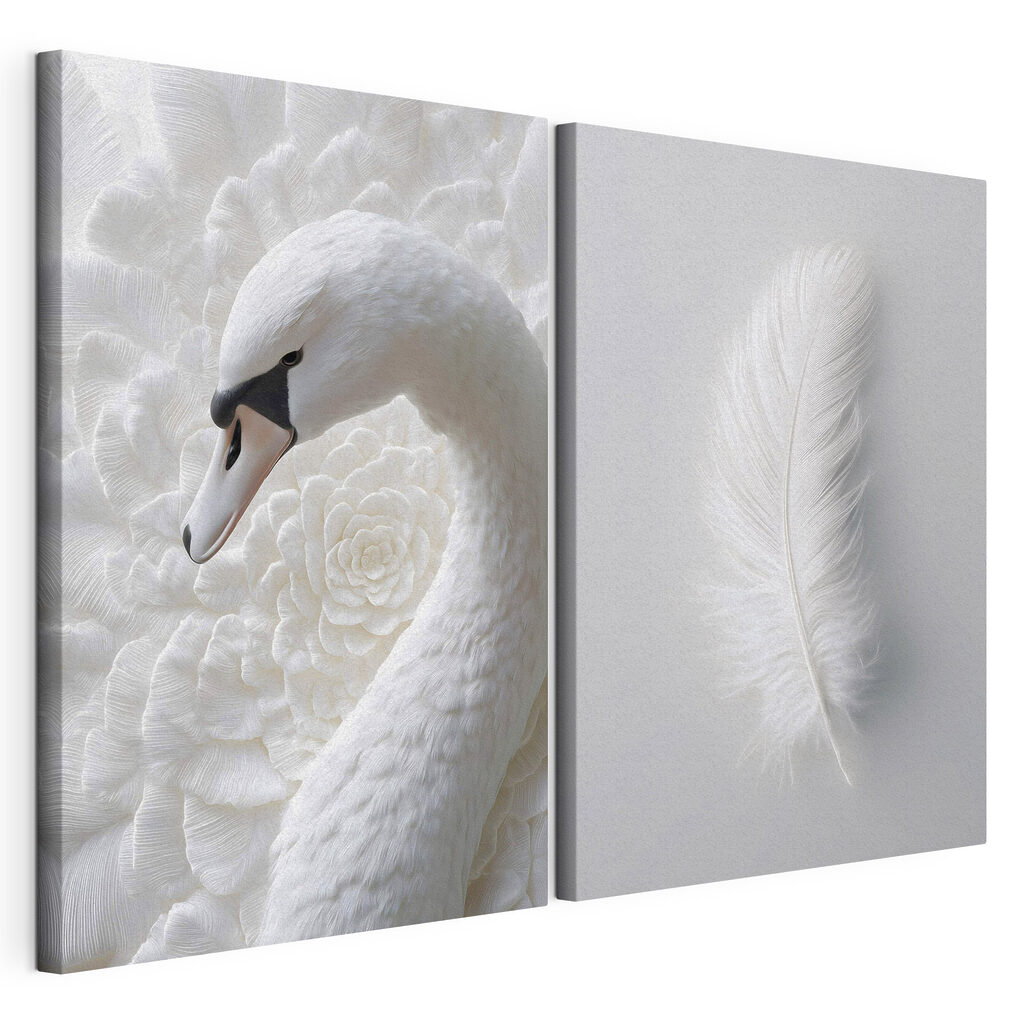 White feather and a swan