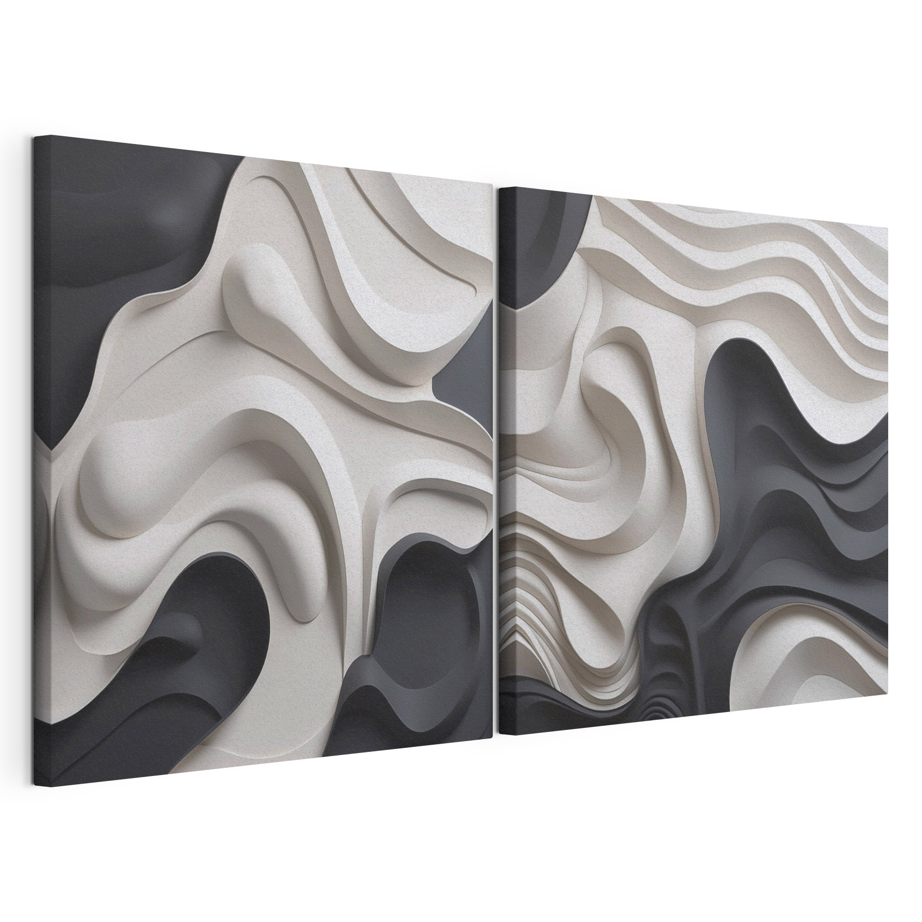 - Fluid shapes in monochrome tones
