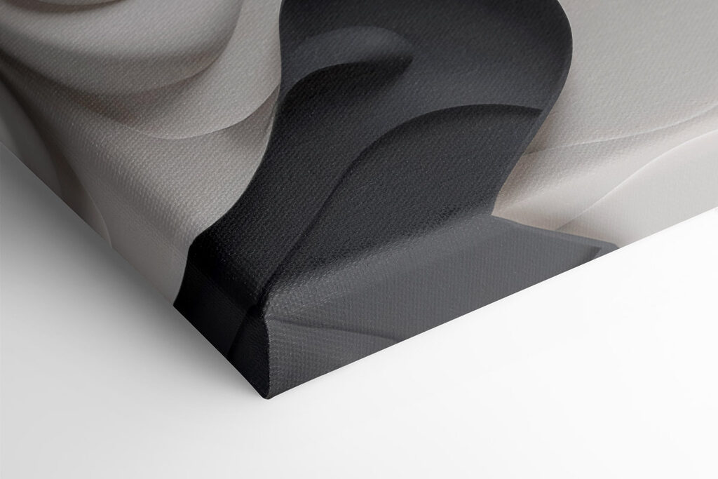 - Fluid shapes in monochrome tones