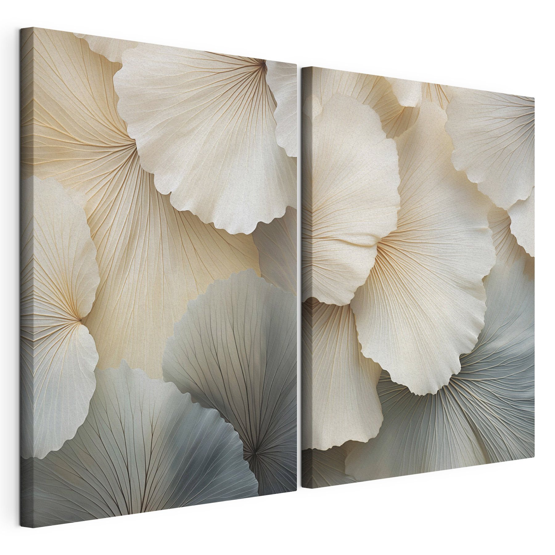 Elegant layers of soft, flowing petals
