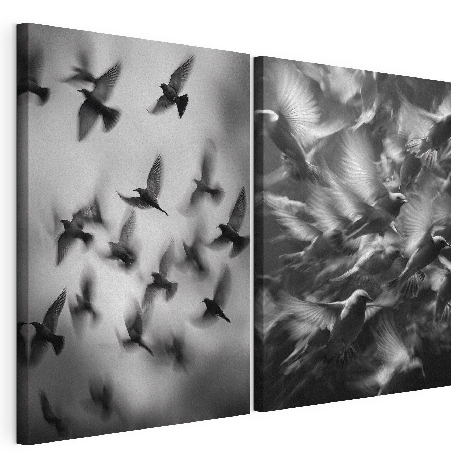 Collage of birds flying