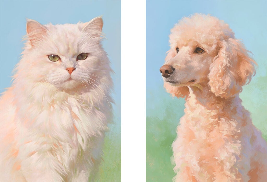 Cat and dog looking at the camera