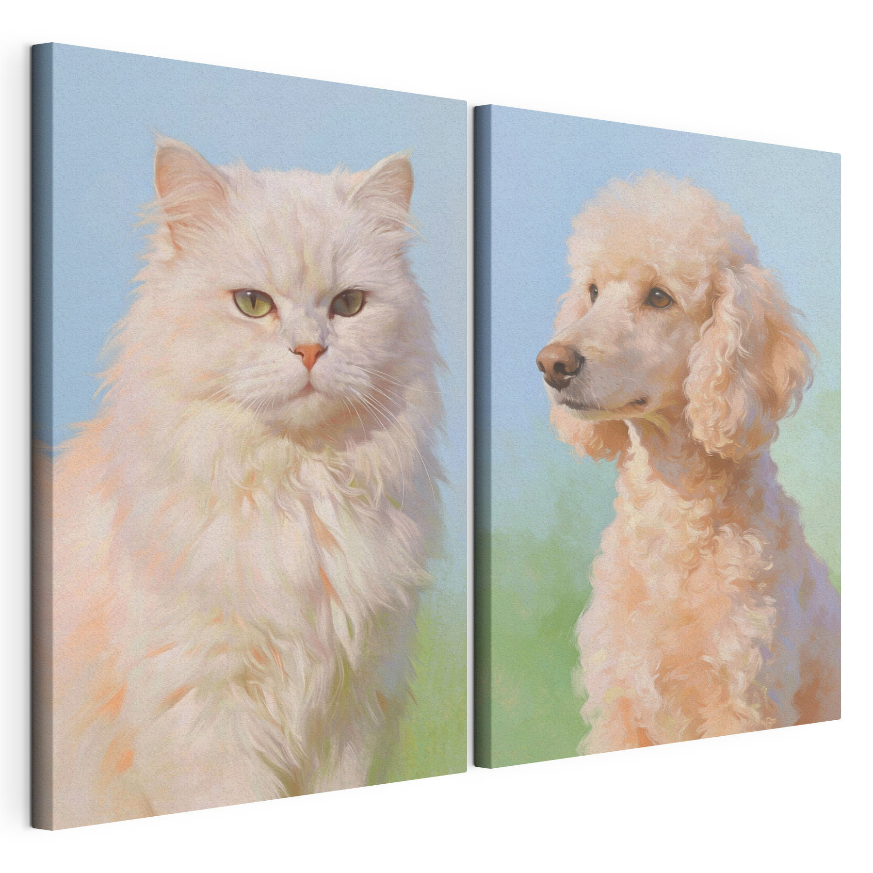 Cat and dog looking at the camera