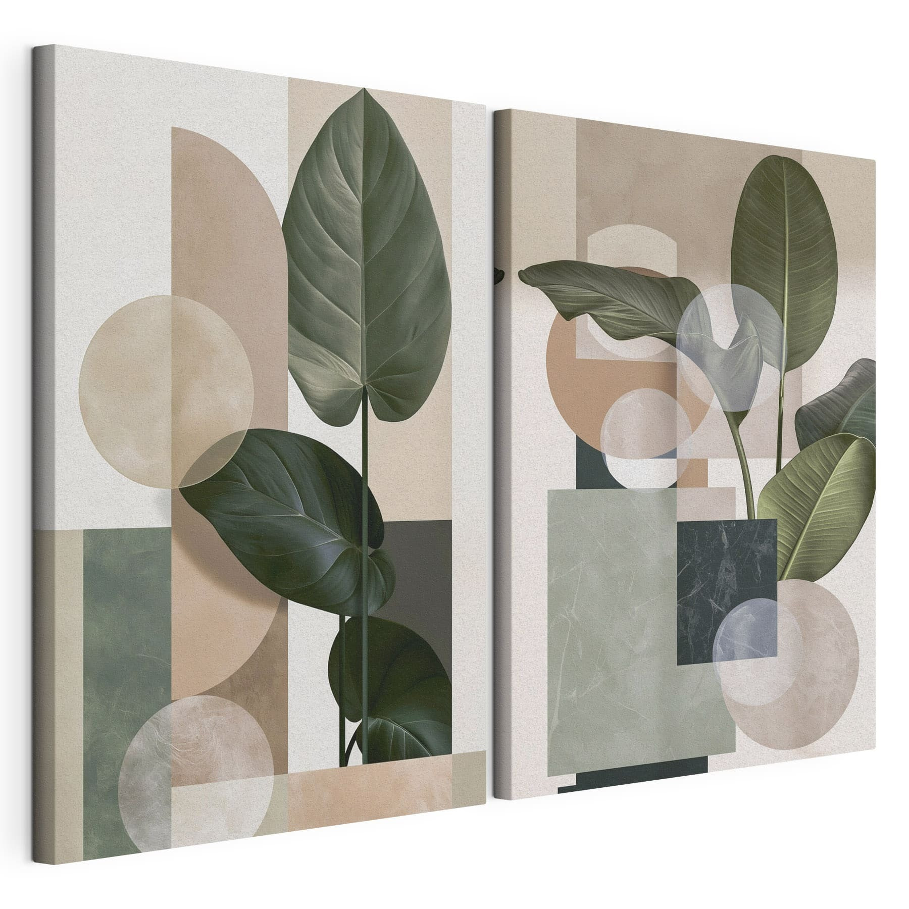 - Organic shapes in harmonious color palette