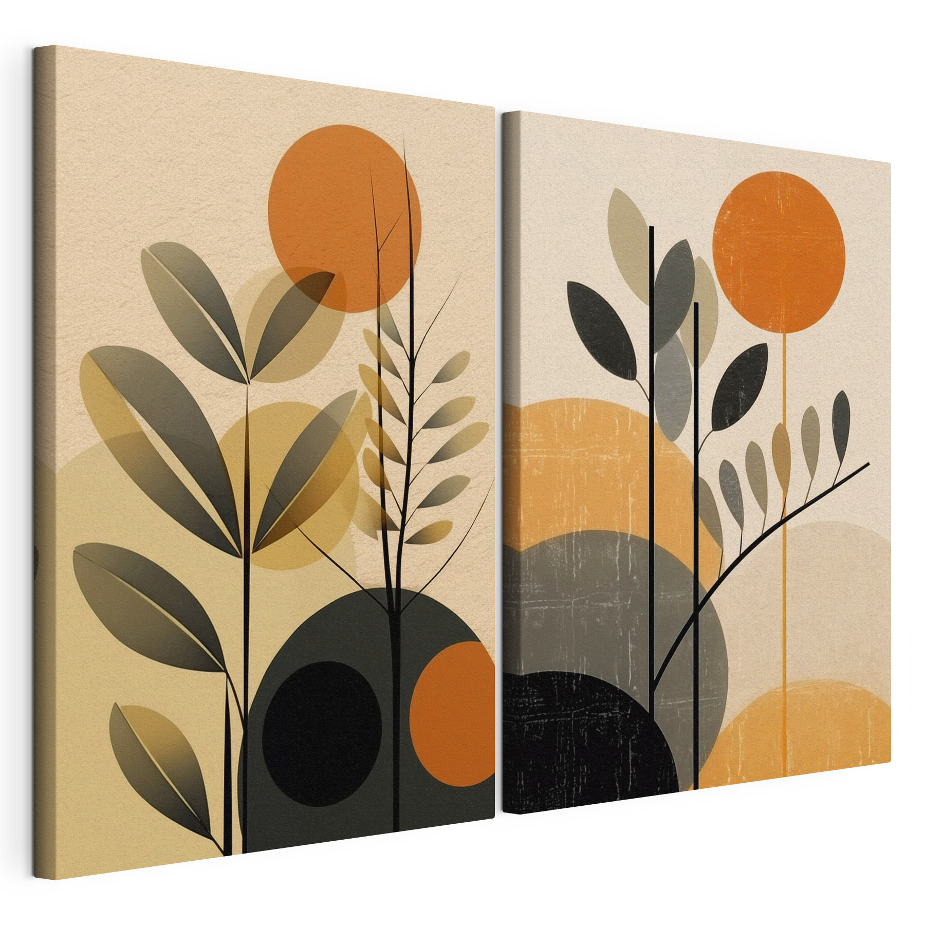 Two images of plants and circles