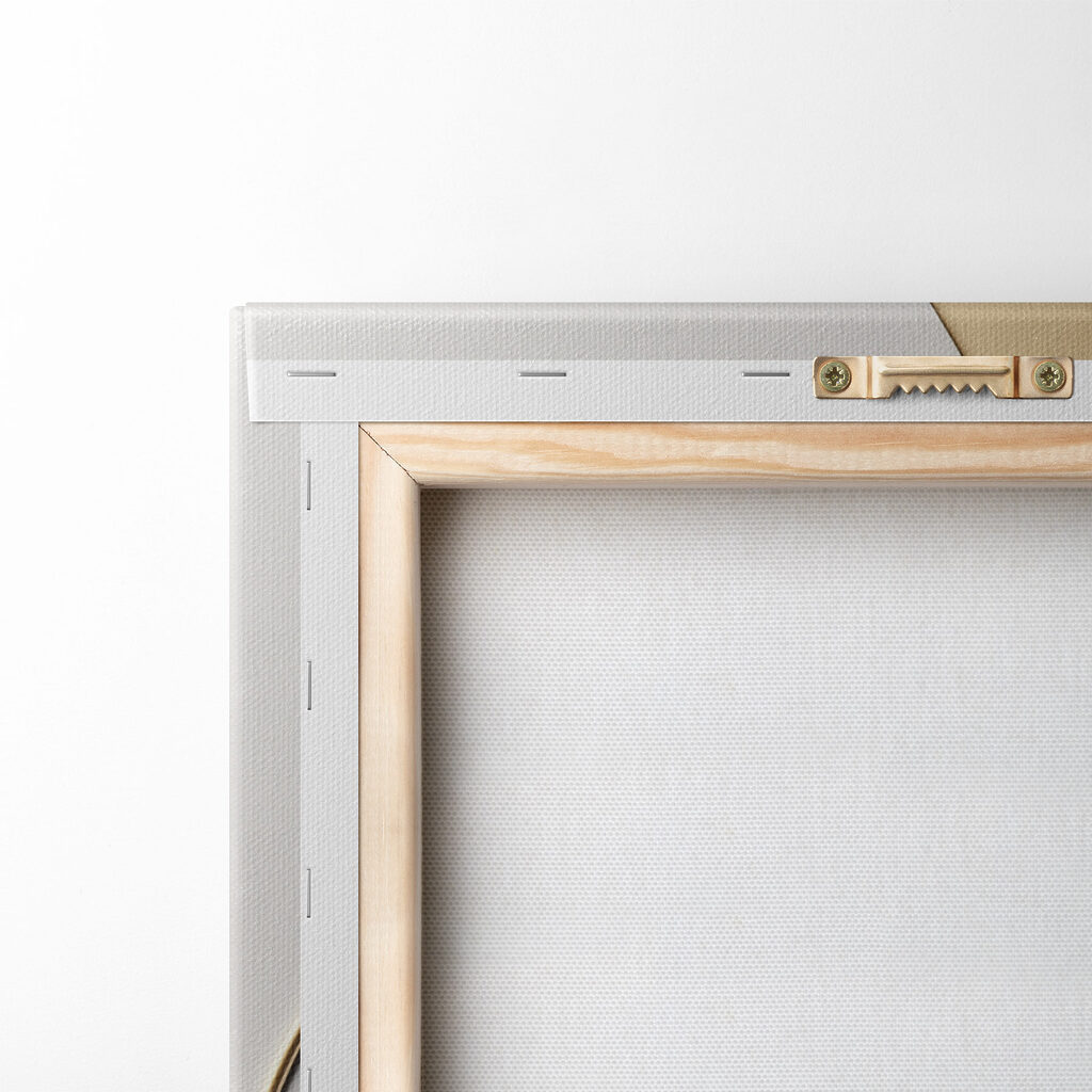 Elegant curves and spheres in harmony