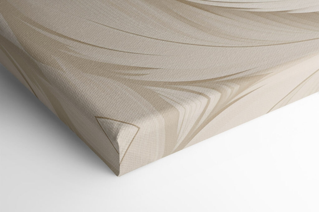 White feather pattern on a white surface