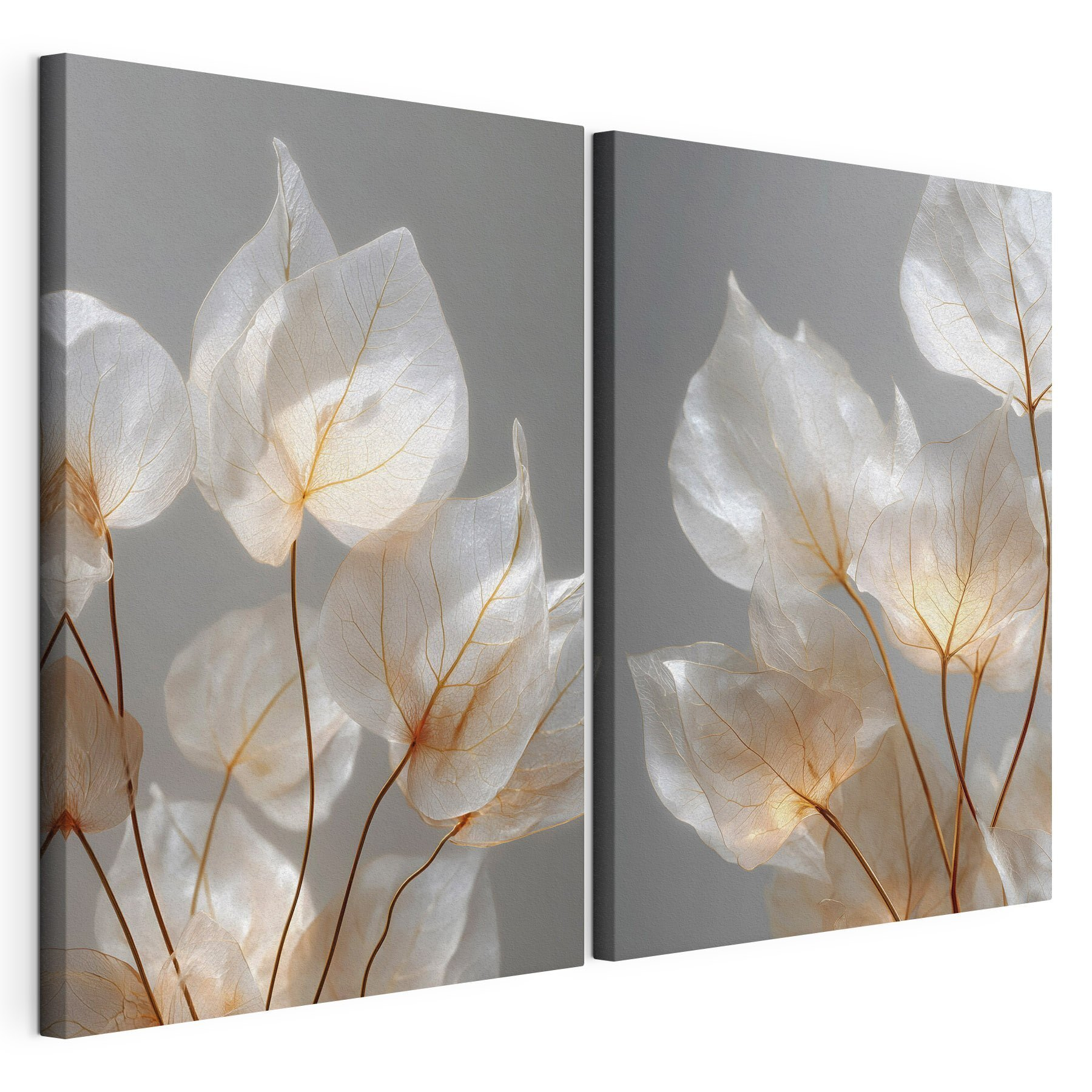 Delicate leaves capturing soft light