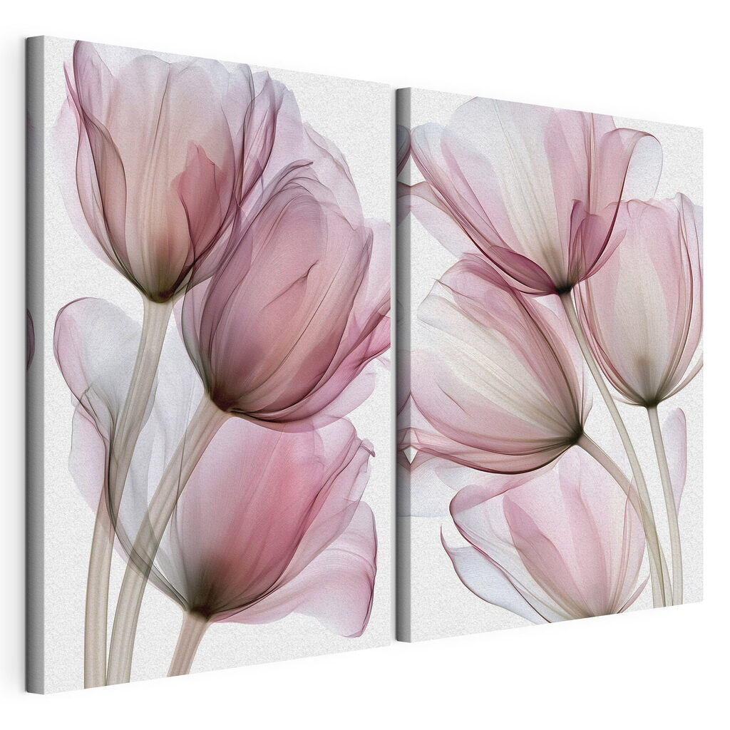 Delicate petals in soft hues