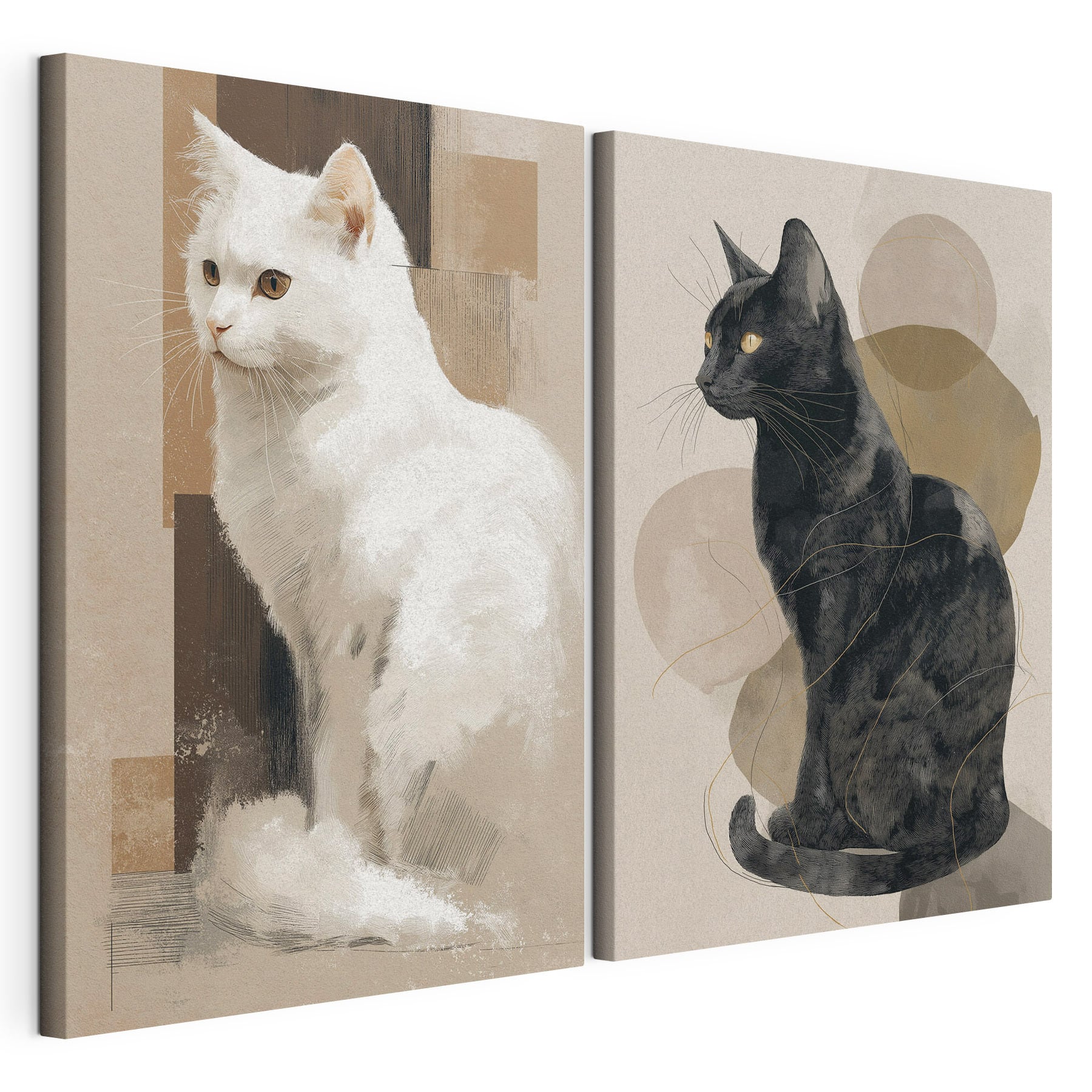 White cat and black cat