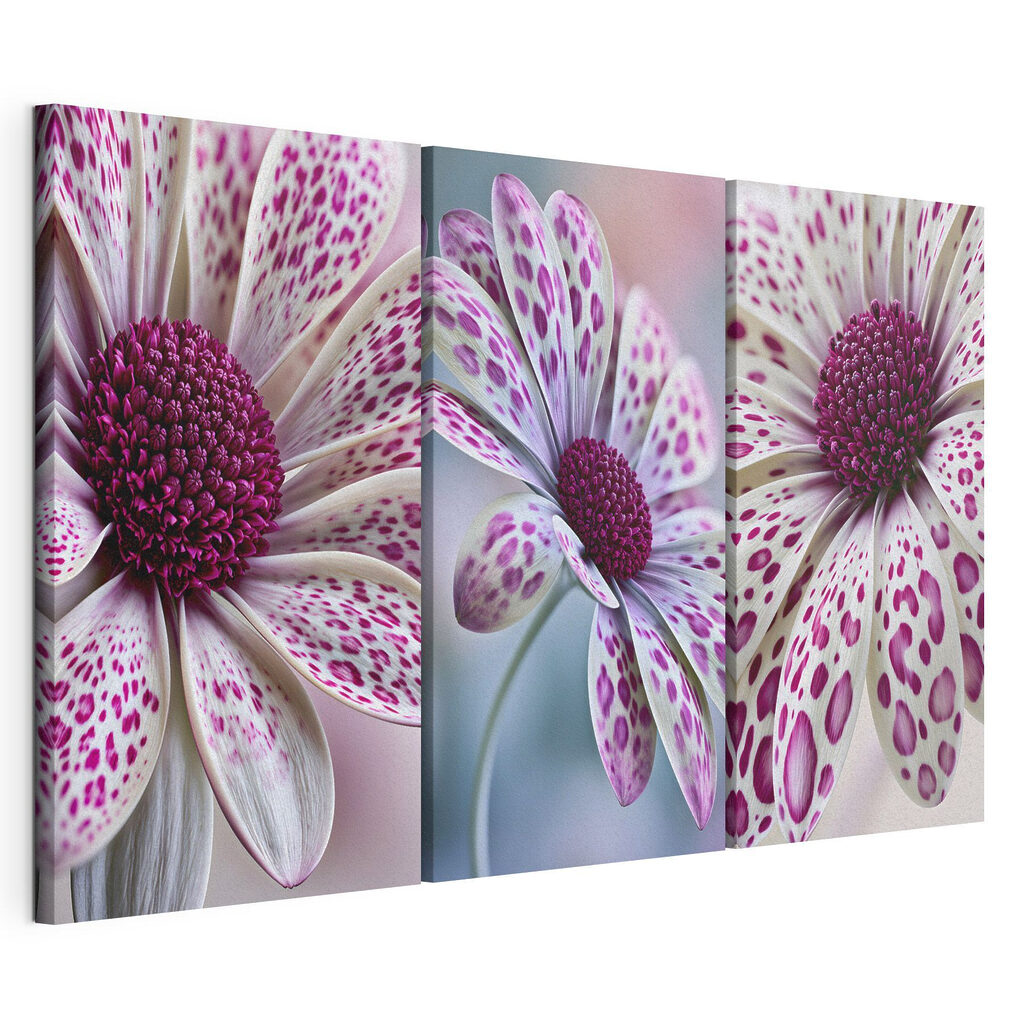 Blooming beauty in vibrant patterns