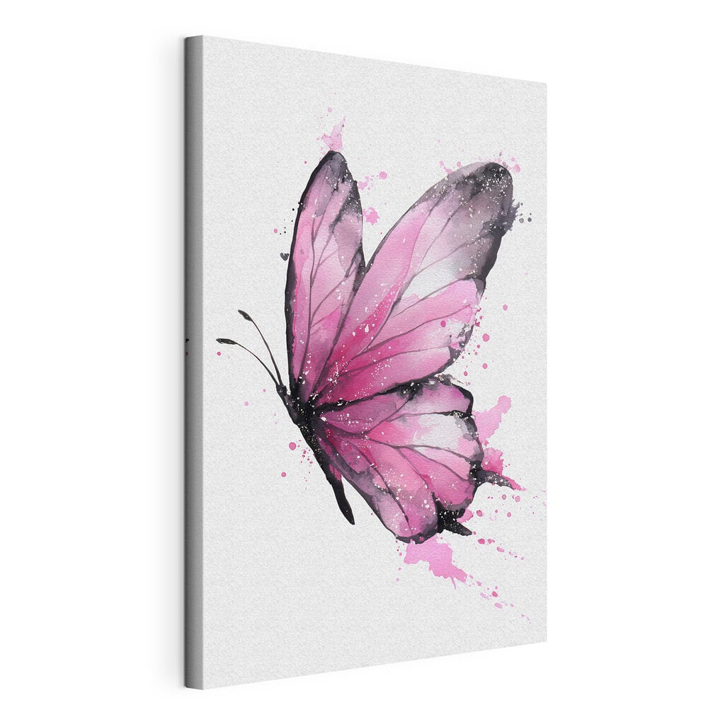 Pink butterfly with black wings