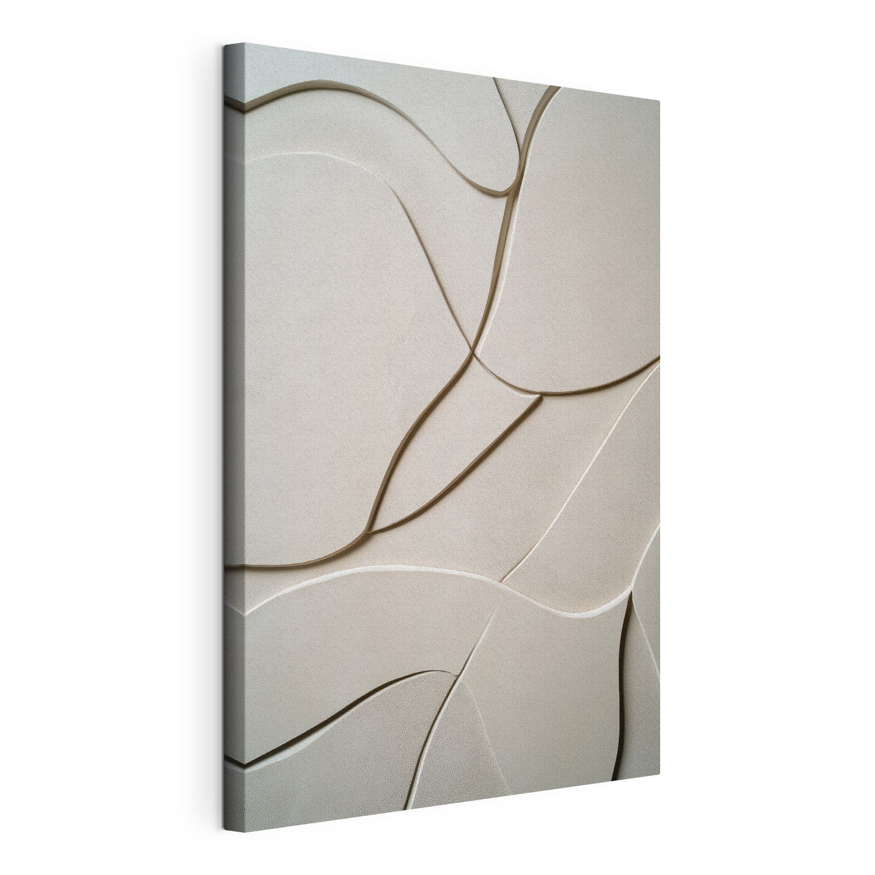 Flowing curves in soft tones