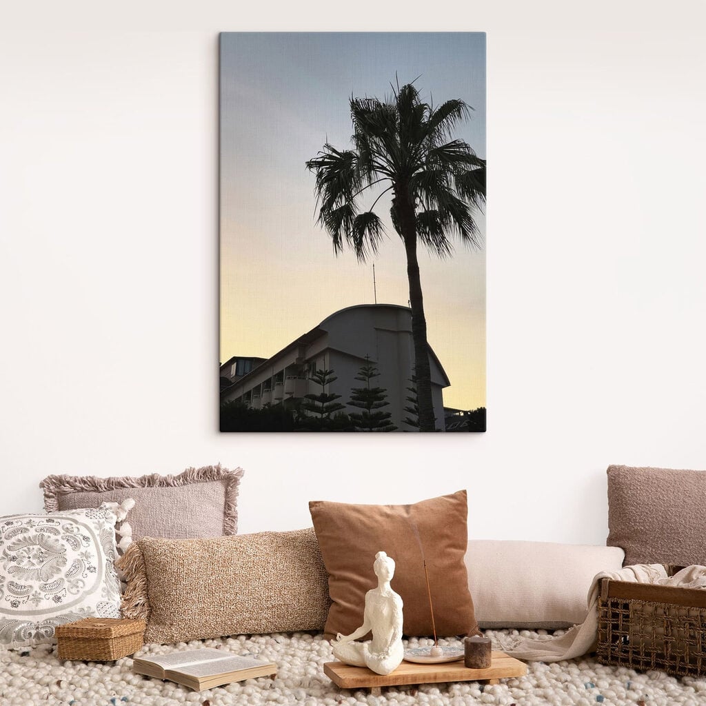 Palm tree in front of a building