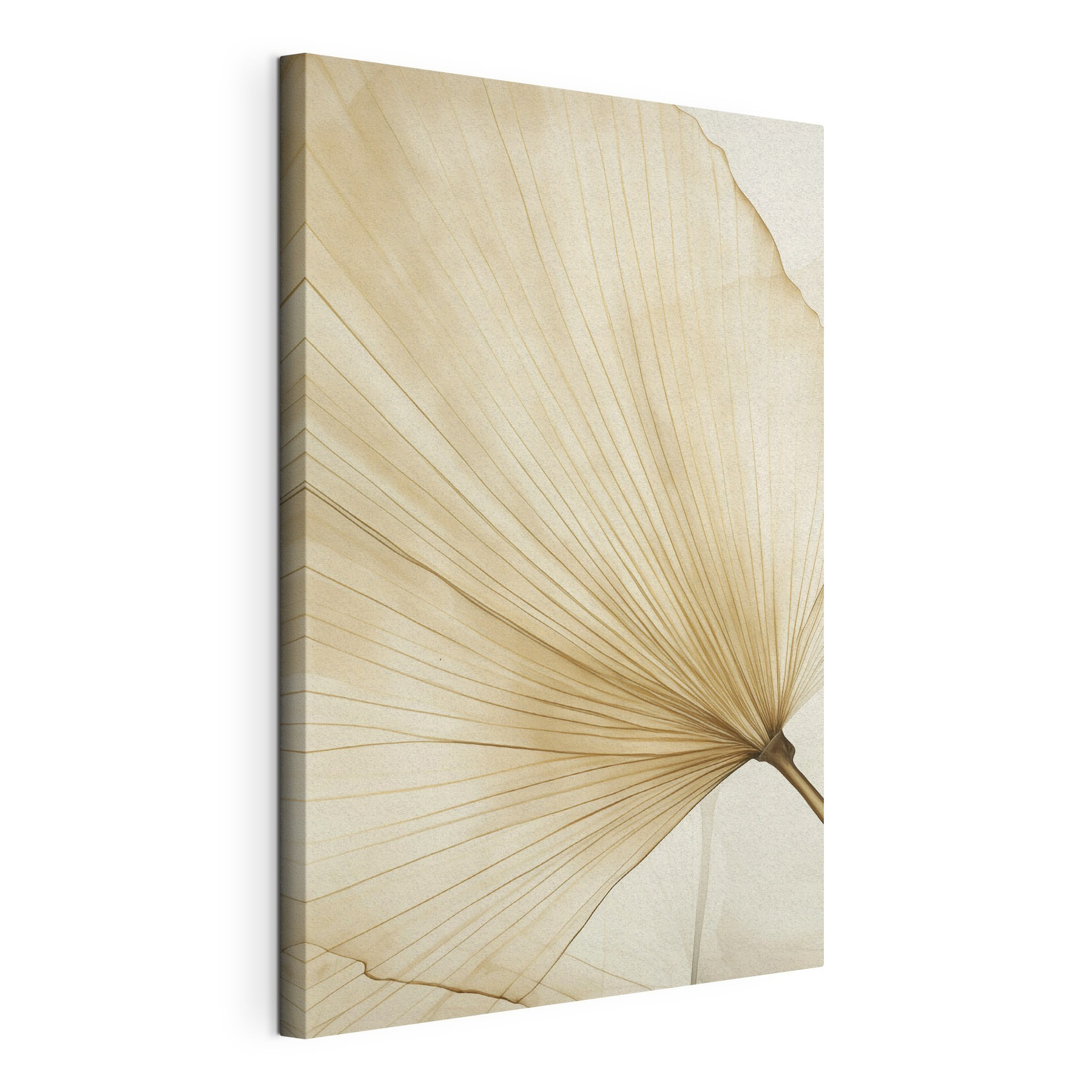 Delicate lines of nature's design